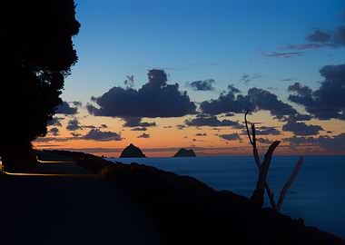 Silhouettes At Twilight