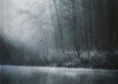 Misty morning at a nearby river - texturized photograph ...