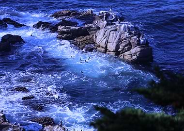 landscape with ocean