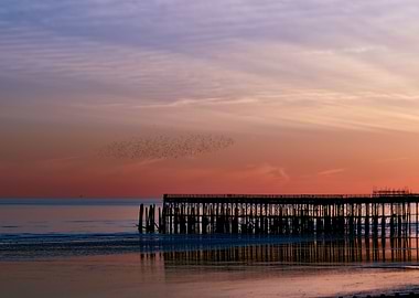 Sea dipped structure