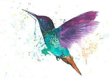 hummingbird