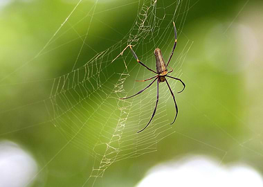 a photo which have taken myself