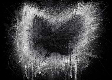 The Raven Black Edition