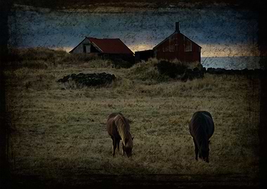 Departure :: A Story of Loss I