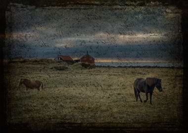 Departure :: A Story of Loss II