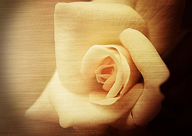 A Brushed Beauty A Brushed Beauty is a mixed media piec ...