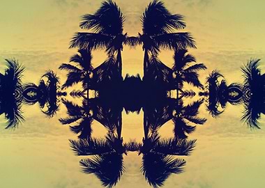 Summer Palms