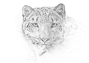 From the blizzard... A snow leopard dotwork portrait