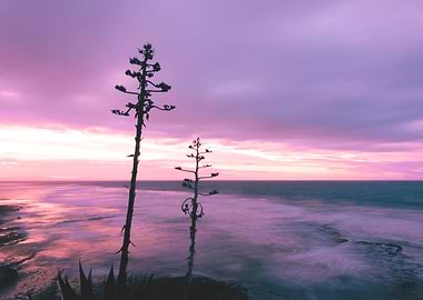 'Winter Skies' Dawn at a nearby beach.