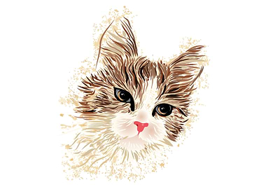 Cat's digital Illustration