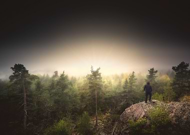 Im happily lost yet again