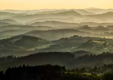 Foggy morning in polish mountains