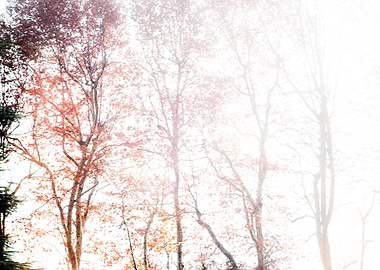 Autumn, Switzerland - 2013