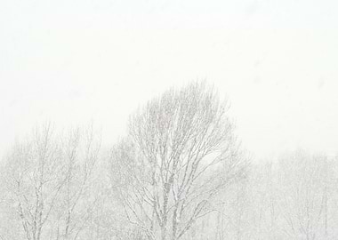 Arbedo, Switzerland - 2008