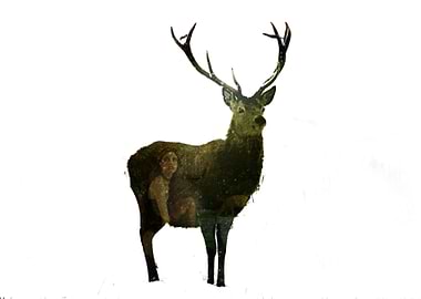 Inspired by Artemis.