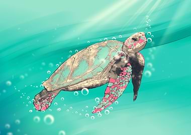 sea turtle