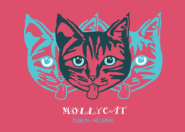 Mollycat - Dublin Helsinki