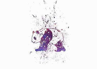 Panda Galaxy Splatter