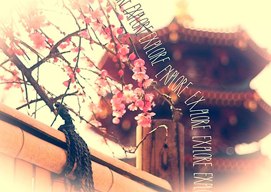 Explore Plum Blossoms Pagoda Bamboo Fence - A lovely Sp ...