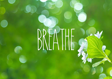 Breathe Refreshing Hydrangea with Green Leaves and Boke ...