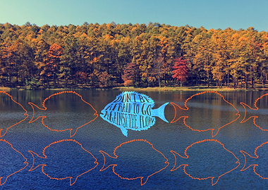 Don’t Be Afraid to Go Against the Flow Fish in Autumn L ...