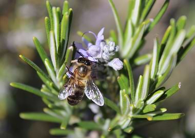 Picture I took in Spain March 2015