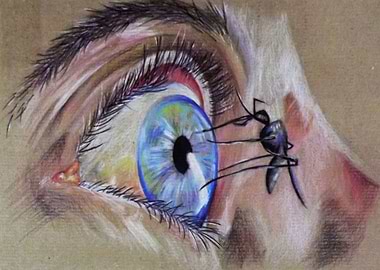 eye 1 mosquito bite - piece of eye illustration collect ...