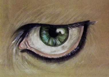 eye 4- fourth eye of a serie of eye illustrations