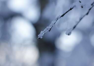 A frosty day in Norway.