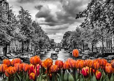 AMSTERDAM Gentlemens Canal