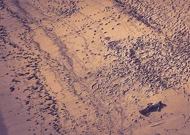 'Loner' Alone, somewhere in an unknown shore.