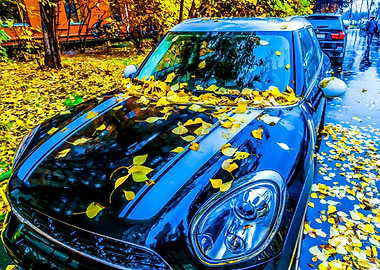 Blue Car - Yellow Autumn