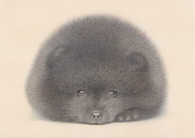 Black Pomeranian puppy watercolor by Irshi. more at ht ...