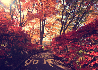 Find Yourself Go Run Autumn Runners Motivational - Gorg ...