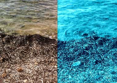 'Two Tone Marine' Merging colour at the water's edge.
