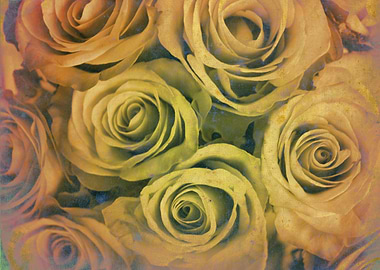 Vintage bleached bouquet of roses by Clare Bevan Photog ...
