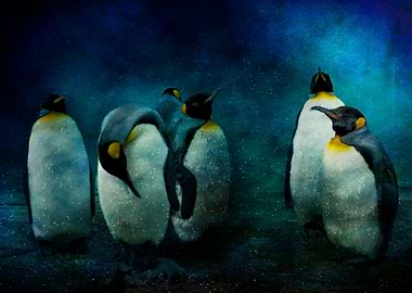 Textured photo of a group of penguins