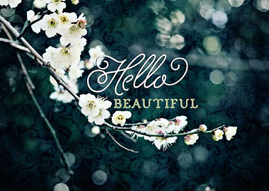 Hello Beautiful White Plum Blossoms Blue Green Brocade ...