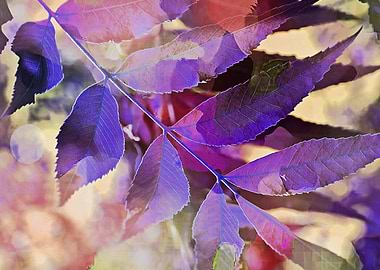 Nature showing it's natural beauty as the sun goes down ...