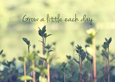 Grow a Little Each Day Small Green Shoots - Simple plan ...