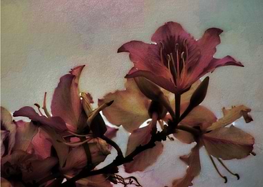 Vintage style mixed media art and photography piece of ...