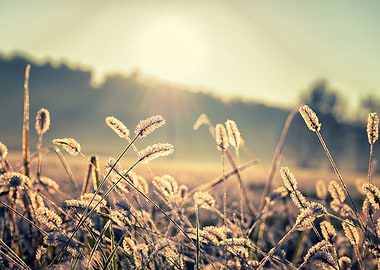 Sunrise in winter morning