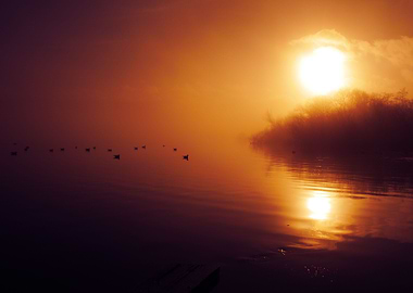 An incredible low fog created a continuous horizon. You ...