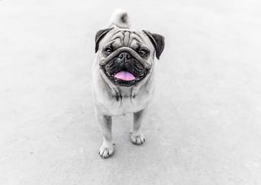 I don't understand ... what you want?