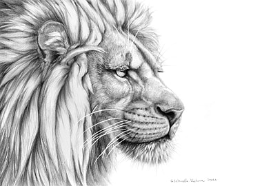 Lion profile G006 by Svetlana Ledneva-Schukina ref. G20 ...