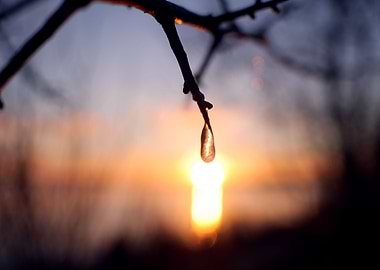 a single droplet of water hangs in front of a beautiful ...