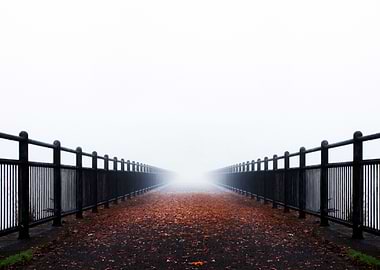 Into the Fog