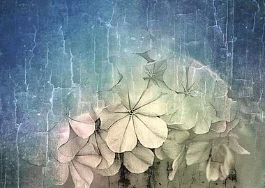 Abstract mixed media art and photography piece by Clare ...