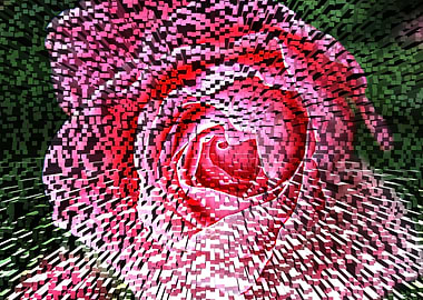 Exploding rose mixed media art and photography by Clare ...