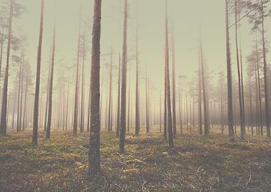 The day we lost. And heaven fell to the ground..